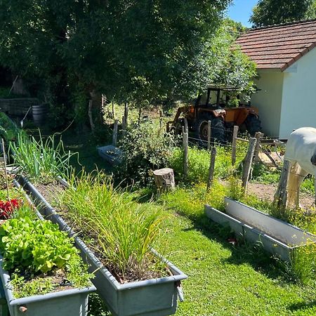 Hotel Rural Basque Irati Espinal-Auzperri المظهر الخارجي الصورة